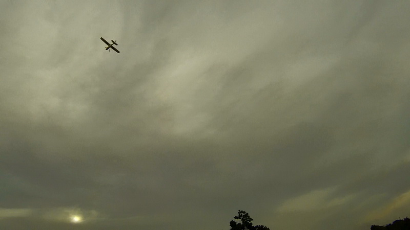 tutor gd conv wing 17