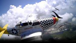 P-51D Mustang - 960mm